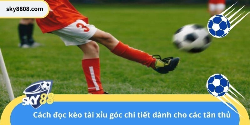 Cách đọc kèo tài xỉu góc chi tiết dành cho các tân thủ