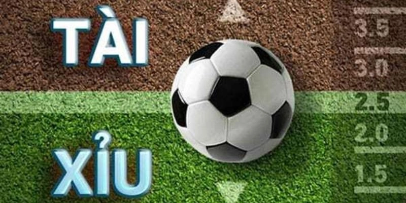 Chia sẻ mẹo chốt kèo thắng đậm từ các chuyên gia